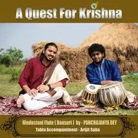 A Quest For Krishna