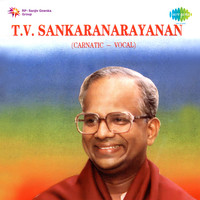 T V Sankaranarayanan (carnatic Vocal)
