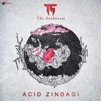 Acid Zindagi