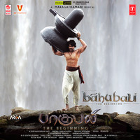 sivaya namaha unnikrishnan song lyrics sivaya namaha unnikrishnan song lyrics