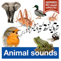 Animal Sounds (Long Versions)