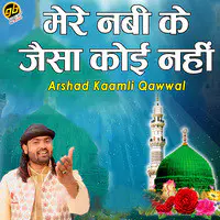 Mere Nabi Ke Jaisa Koi Nahi