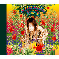 WILD RUSH Songs Download: WILD RUSH MP3 Japanese Songs