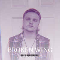 Broken Wing