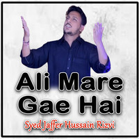 Ali Mare Gae Hai