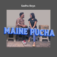 Maine Pucha