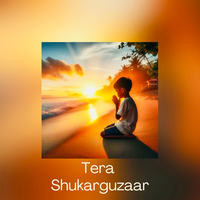 Tera Shukarguzaar