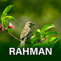 Rahman