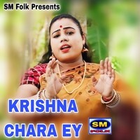 KRISHNA CHARA EY