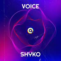 Voice