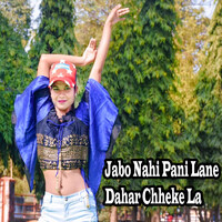 Jabo Nahi Pani Lane Dahar Chheke La