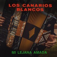 Mi Lejana Amada