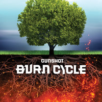 Burn Cycle