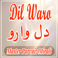 Dil Waro