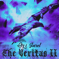 The Veritas II