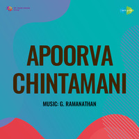 Apoorva Chintamani