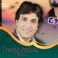 Dastana Gusheen