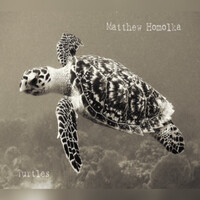 Turtles Song Download: Play & Listen Turtles all MP3 Song by Matthew ...