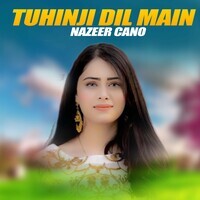 Tuhinji Dil Main