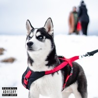 HUSKY (Remix)