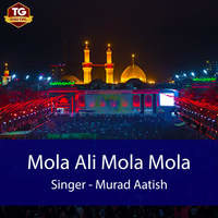 ali mola ringtone mp3 download pagalworld