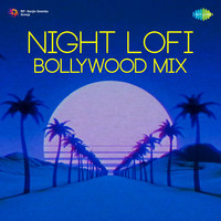 Night Lofi Bollywood Mix