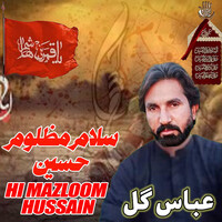 Hi Mazloom Hussain