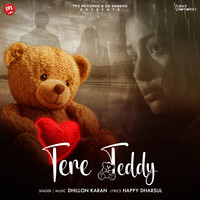 Tere Teddy