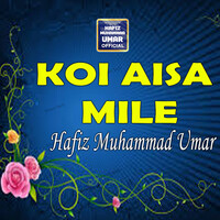 Koi Aisa Mile