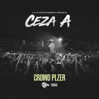 Crowd Plzer