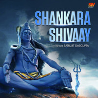Shankara Shivaay