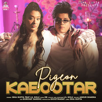 Pigeon Kabootar