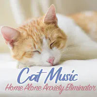 Cat Music - Home Alone Anxiety Eliminator