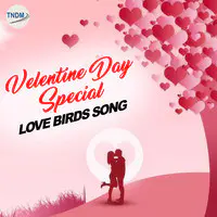 Valentine Day Special Love Birds Song