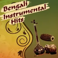 Bengali Instrumental Hits