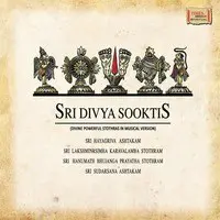 Sri Divya Sooktis