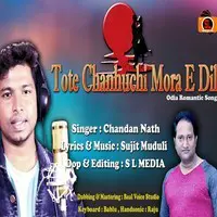 Tote Chanhuchi Mora E Dil