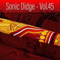 Sonic Didge, Vol. 45