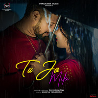 Tu Jo Mila Song Download: Play & Listen Tu Jo Mila all MP3 Song by Dhi ...