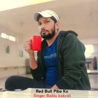 Red Bull Piba Ko