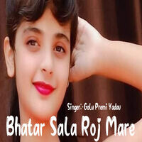 Bhatar Sala Roj Mare