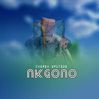 Nkgono