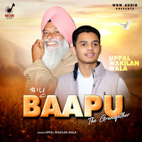 Baapu