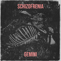 Schizofrenia