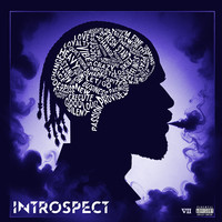 Introspect