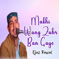 Makhi Wang Zahr Ban Gaye Ejaz Rawal