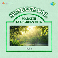 Suhane Pal - Marathi Evergreen Hits Vol 1