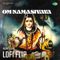 Om Namasivaya Lofi Flip