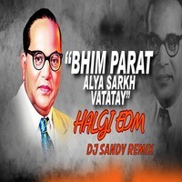 Bhim Partun Aalya Sarkh Vattay (Halgi Edm, Dj Sandy Remix)