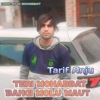 Teri Mohabbat Bangi Molu Maut